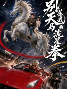 别惹我的天马流星拳全集