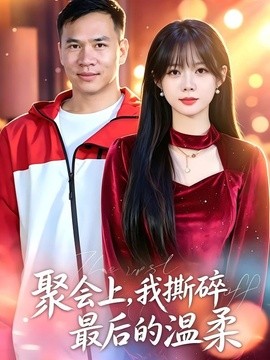 聚会上，我撕碎最后的温柔全集