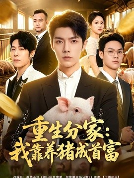 重生分家：我靠养猪成首富全集