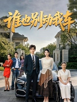 谁也别动我车全集