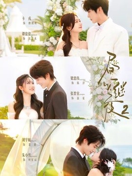 昼以继夜2第二季全集