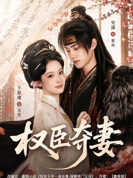 权臣夺妻全集