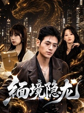 缅境隐龙全集
