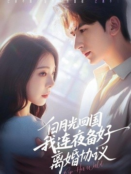 白月光回国我连夜备好离婚协议全集
