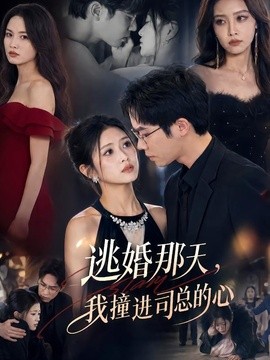 逃婚那天，我撞进司总的心全集