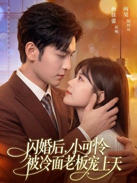 闪婚后，小可怜被冷面老板宠上天全集