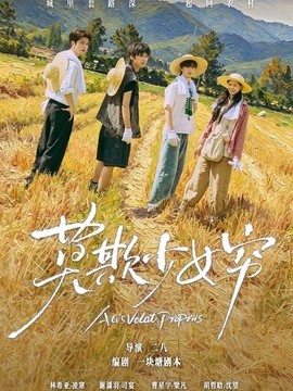 谁都别想拦着我发财 莫欺少女穷全集