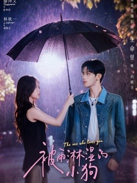 被雨淋湿的小狗全集