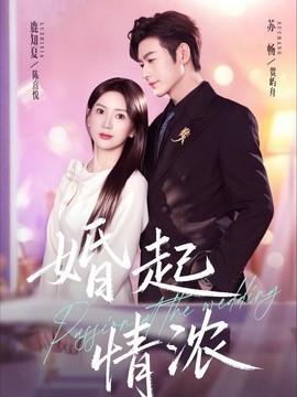 婚起情浓全集