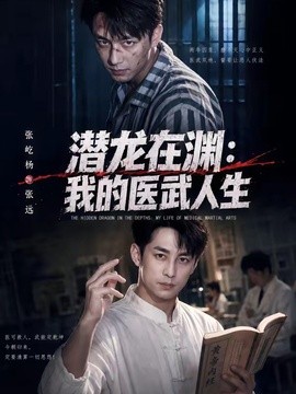潜龙在渊：我的医武人生全集