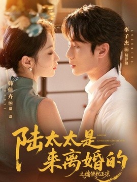 陆太太是来离婚的之慵便枕玉凉全集