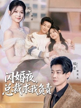 闪婚夜，总裁求我负责全集