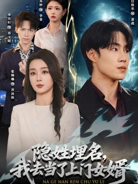 隐姓埋名，我去当了上门女婿全集