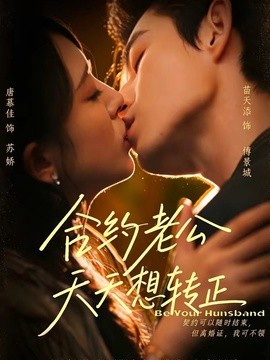 合约老公天天想转正全集