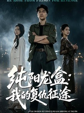 纯阳龙盒：我的复仇征途全集