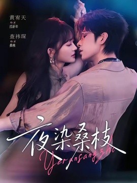 夜染桑枝全集