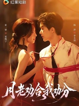月老劝合我劝分全集