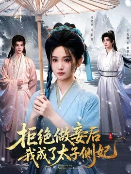 拒绝做妾后我成了太子侧妃 一纸离人愁全集