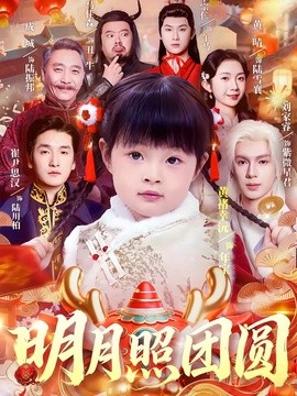 明月照团圆全集
