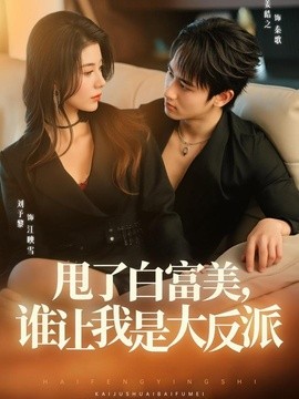 甩了白富美，谁让我是大反派全集
