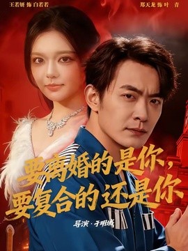 要离婚的是你，要复合的还是你全集