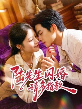 陆先生闪婚请多指教全集