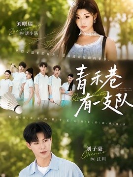 青禾巷有一支队全集