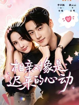 相亲对象是迟来的心动全集