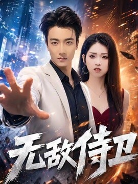 无敌侍卫全集
