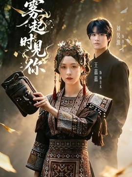 雾起时见你全集