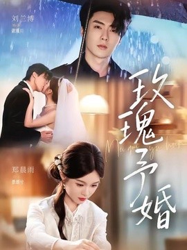 玫瑰予婚全集