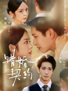 错婚契约全集