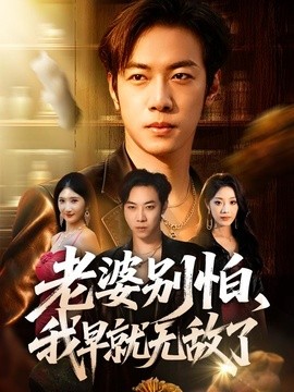 老婆别怕，我早就无敌了全集