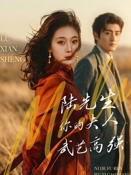 陆先生，你的夫人武艺高强全集