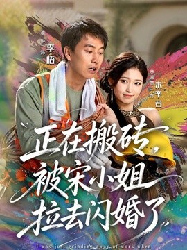 正在搬砖，被宋小姐拉去闪婚了全集