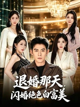 退婚那天，闪婚绝色白富美全集