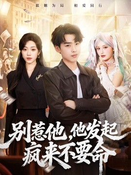 别惹他，他发起疯来不要命全集