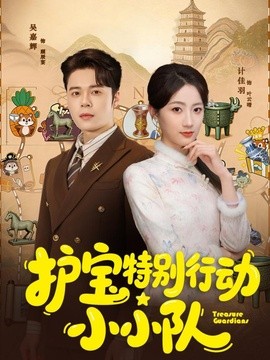 护宝特别行动小小队全集