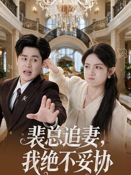 裴总追妻，我绝不妥协全集