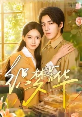 织梦芳华全集