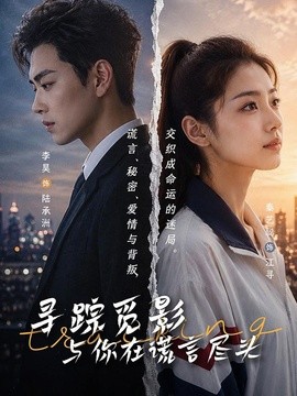 寻踪觅影：与你在谎言尽头全集