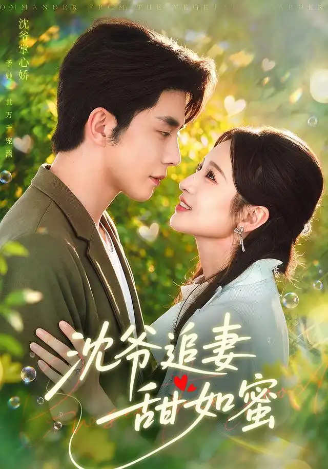 沈爷追妻甜如蜜全集