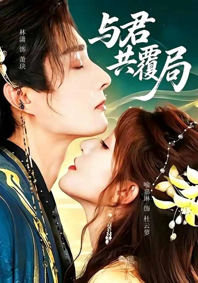 与君共覆局全集