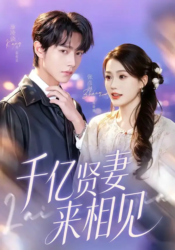 钻石贤妻来相见 千亿贤妻来相见全集