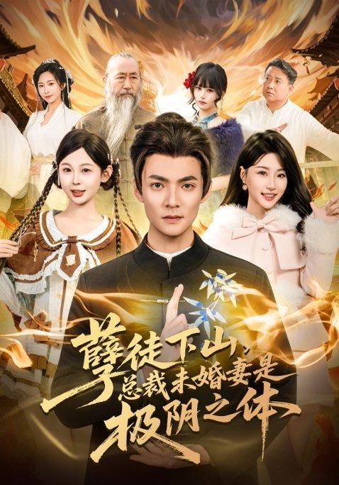 孽徒下山，总裁未婚妻是极阴之体全集