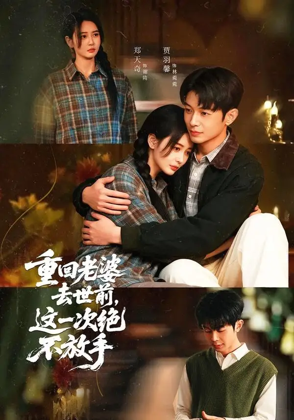 重回老婆去世前，这一次绝不放手全集
