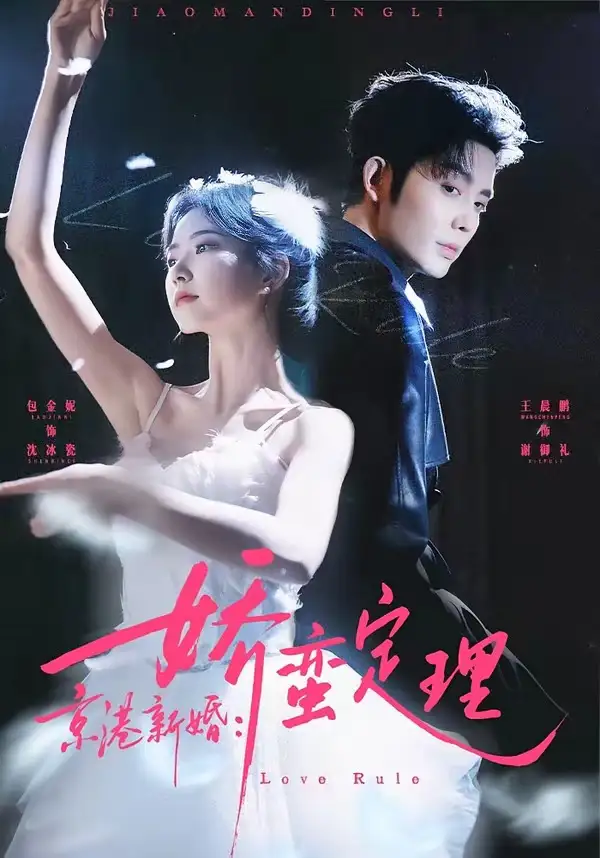 京港新婚：娇蛮定理全集