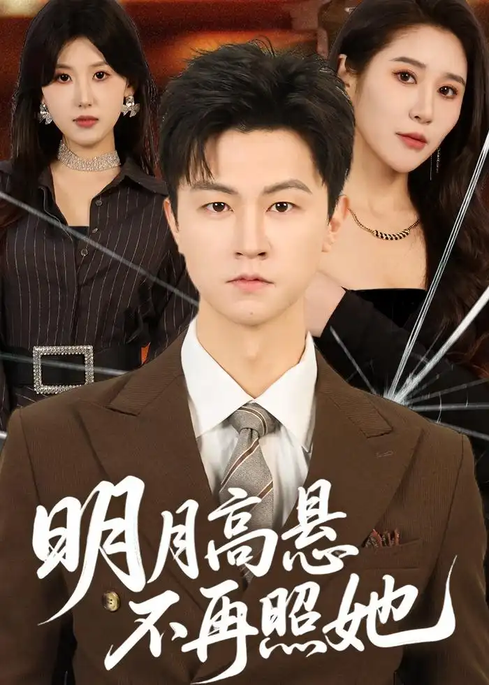 明月高悬不再照她全集