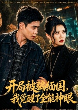 开局被骗缅国，我觉醒了全能神眼全集