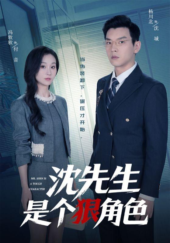 沈先生是个狠角色全集